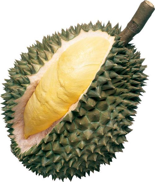 durian2.jpg