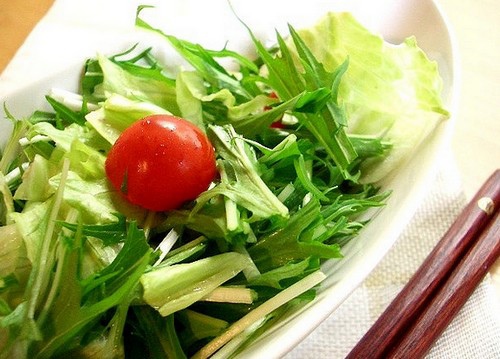 蔬菜減肥 蔬菜減肥