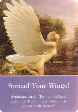 Spread Your Wings.jpg