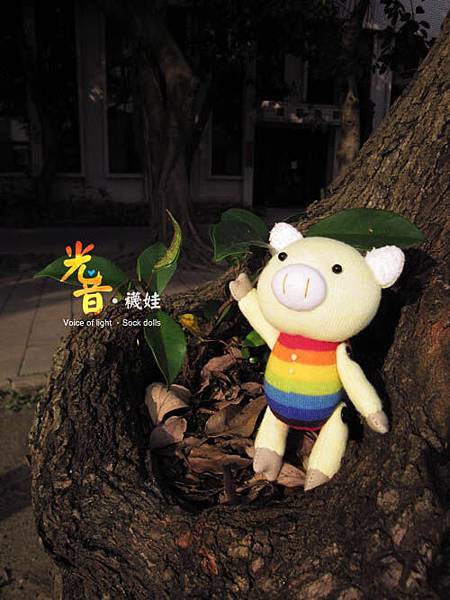 彩虹豬豬_02