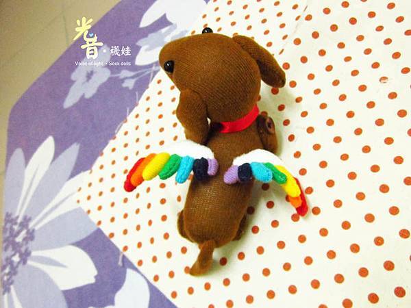 臘腸狗 Rainbow 02