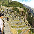 馬丘比丘Machu-Piccu07-6.jpg