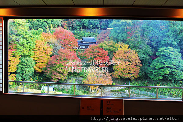 鳥取三朝溫泉岩崎樓溫泉窗景楓葉.jpg