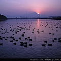 鳥取皆生溫泉大山日出3.jpg