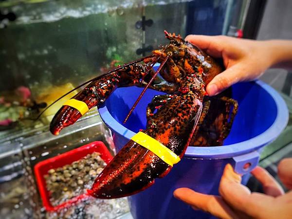 【捷運板橋站│板橋口碑美食】蒸天下蒸氣火鍋海鮮餐廳 高CP值平價海鮮