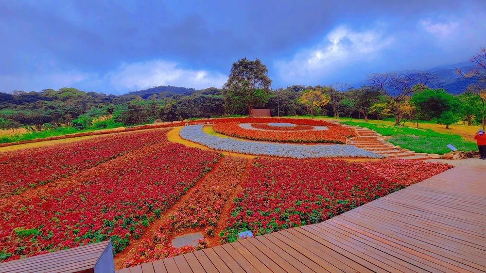 2023三層崎花海「鷲你來看花」台版富良野春妝新登場＠環遊世界366天  (20)_结果.jpg