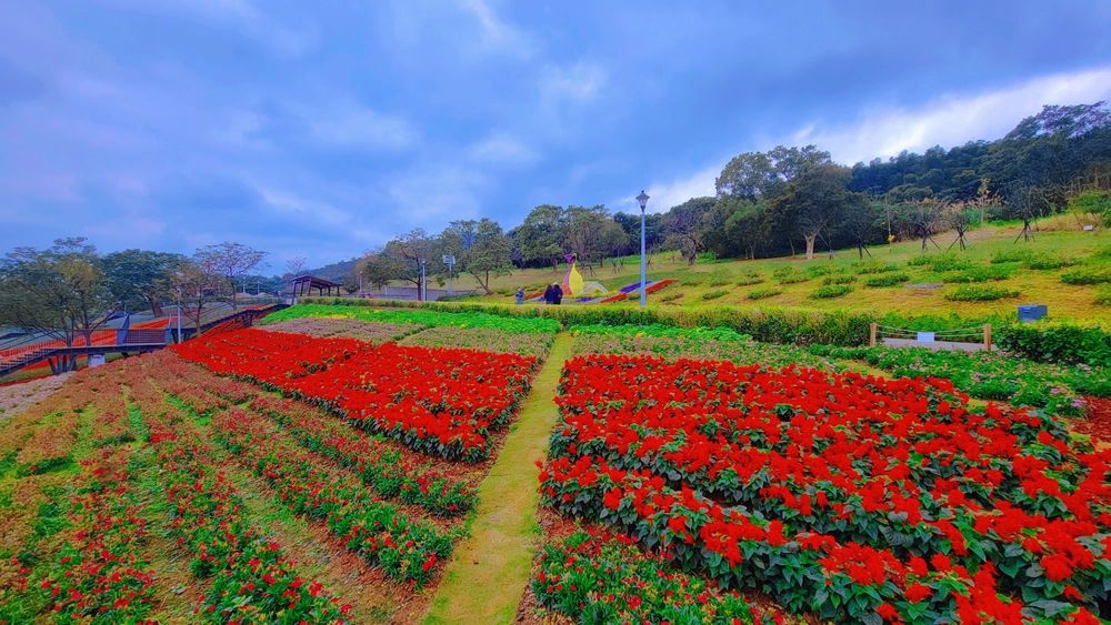 2023三層崎花海「鷲你來看花」台版富良野春妝新登場＠環遊世界366天  (27)_结果.jpg