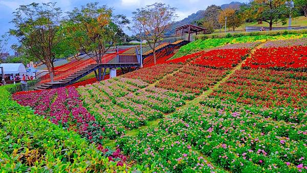 2023三層崎花海「鷲你來看花」台版富良野春妝新登場＠環遊世界366天  (28)_结果.jpg