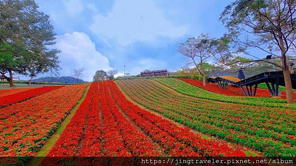 2023三層崎花海「鷲你來看花」台版富良野春妝新登場＠環遊世界366天  (2)_结果.jpg