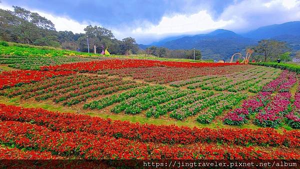 2023三層崎花海「鷲你來看花」台版富良野春妝新登場＠環遊世界366天  (7)_结果.jpg