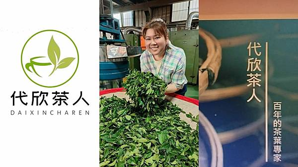 苗栗秘境最美茶園「代欣茶人」自然農法將蟲蟲危機化為「貓裏紅」紅茶飄蜜香@水靜葳環遊世界366天 (4).jpg