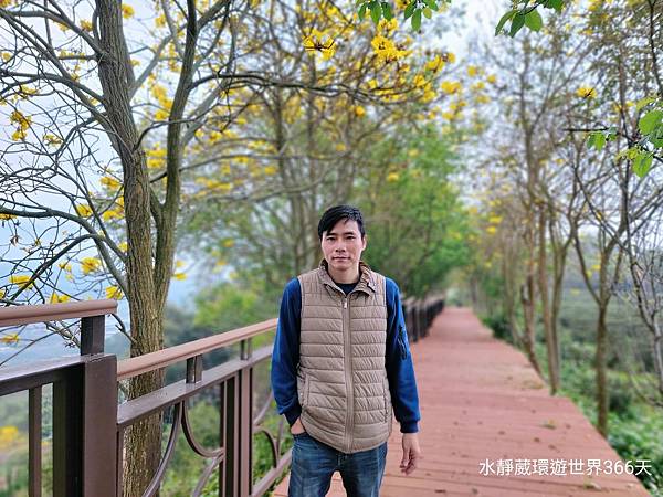 苗栗秘境最美茶園「代欣茶人」自然農法將蟲蟲危機化為「貓裏紅」紅茶飄蜜香@水靜葳環遊世界366天 (10).jpg