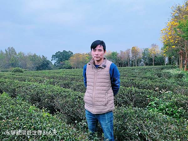 苗栗秘境最美茶園「代欣茶人」自然農法將蟲蟲危機化為「貓裏紅」紅茶飄蜜香@水靜葳環遊世界366天 (12).jpg