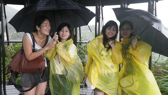 招架不住的雨