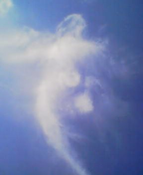 圖象 天使雲 Jpg Mouna 靖媛的相簿 痞客邦