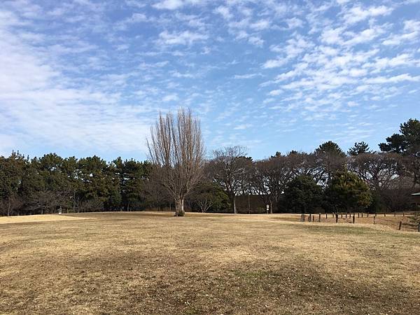 名古屋城