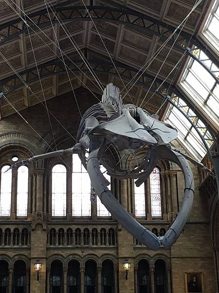 Natural History Museum