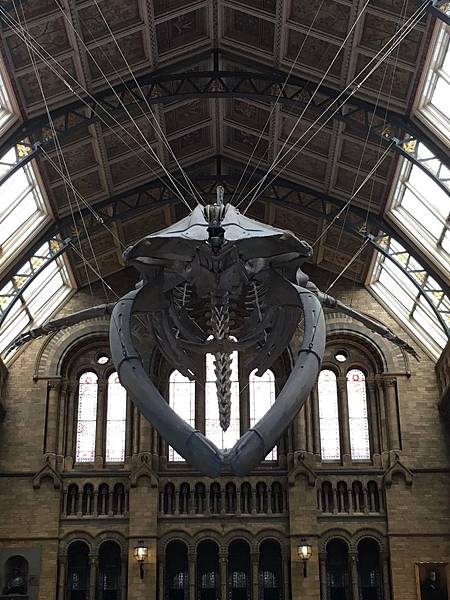 Natural History Museum