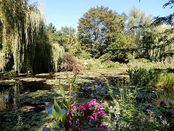 【法國%2F吉維尼 Giverny】Maison et jardins de Claude Monet 莫內花園