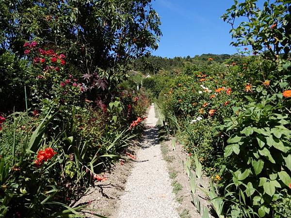 【法國%2F吉維尼 Giverny】Maison et jardins de Claude Monet 莫內花園