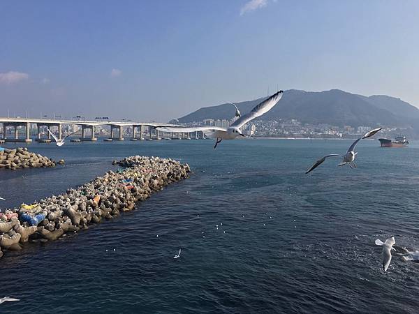 【韓國%2F釜山】松島海水浴場