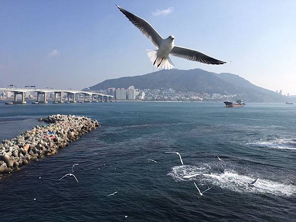 【韓國%2F釜山】松島海水浴場