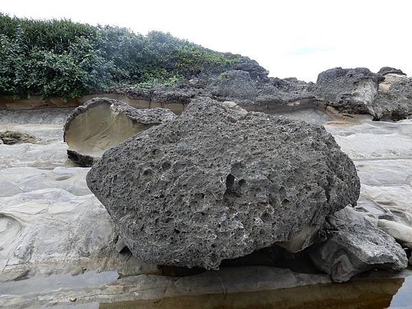 【臺灣/台東】小野柳