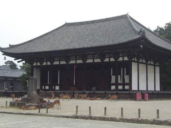 興福寺2