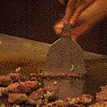 煎牛肉捲動畫.gif