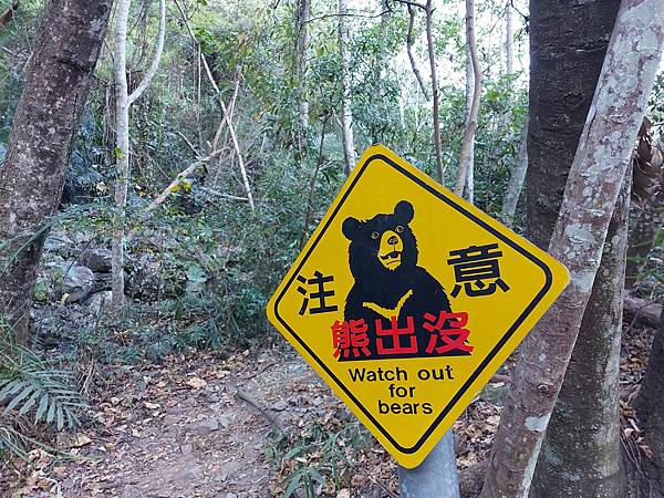 【屋東縱走】屋我尾/東卯山大崩壁-谷關七雄一日2雄挑戰(麗陽