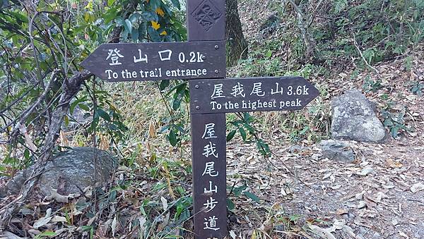 【屋東縱走】屋我尾/東卯山大崩壁-谷關七雄一日2雄挑戰(麗陽