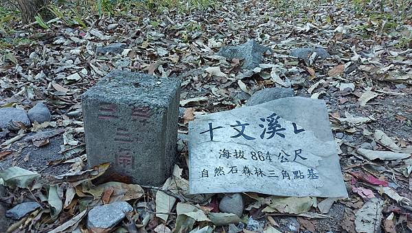 【屋東縱走】屋我尾/東卯山大崩壁-谷關七雄一日2雄挑戰(麗陽