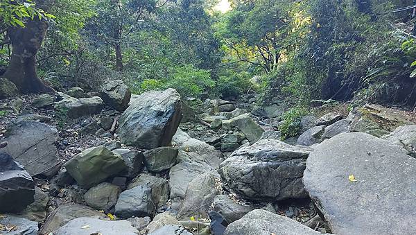 【屋東縱走】屋我尾/東卯山大崩壁-谷關七雄一日2雄挑戰(麗陽