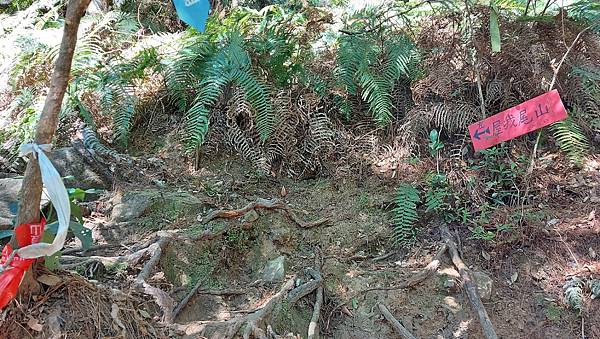 【屋東縱走】屋我尾/東卯山大崩壁-谷關七雄一日2雄挑戰(麗陽