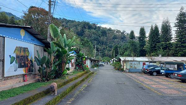 【水社大山】日月潭最高峰-伊達邵VS日月潭青年活動中心登山口