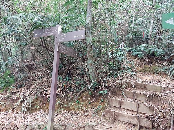 【水社大山】日月潭最高峰-伊達邵VS日月潭青年活動中心登山口