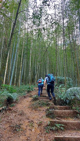 【水社大山】日月潭最高峰-伊達邵VS日月潭青年活動中心登山口