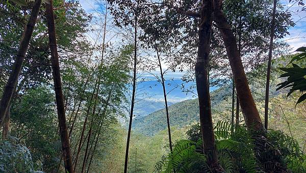 【水社大山】日月潭最高峰-伊達邵VS日月潭青年活動中心登山口