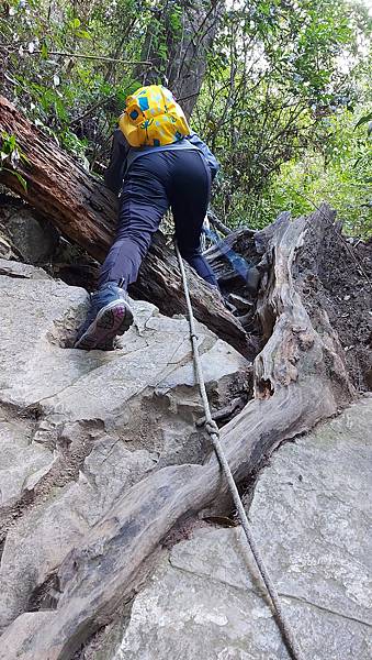 【水社大山】日月潭最高峰-伊達邵VS日月潭青年活動中心登山口