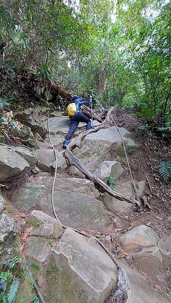 【水社大山】日月潭最高峰-伊達邵VS日月潭青年活動中心登山口