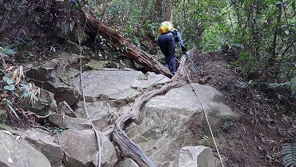 【水社大山】日月潭最高峰-伊達邵VS日月潭青年活動中心登山口