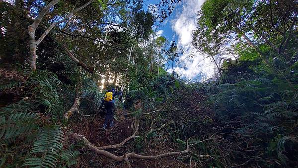 【水社大山】日月潭最高峰-伊達邵VS日月潭青年活動中心登山口