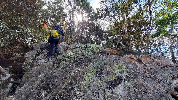 【水社大山】日月潭最高峰-伊達邵VS日月潭青年活動中心登山口