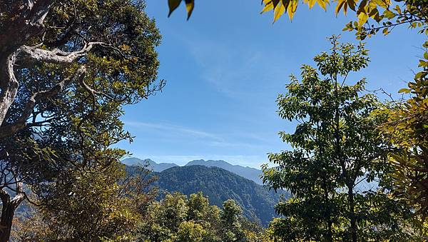 【大雪山】大雪山步道懶人包整理~鳶嘴山、橫嶺山、稍來山步道、