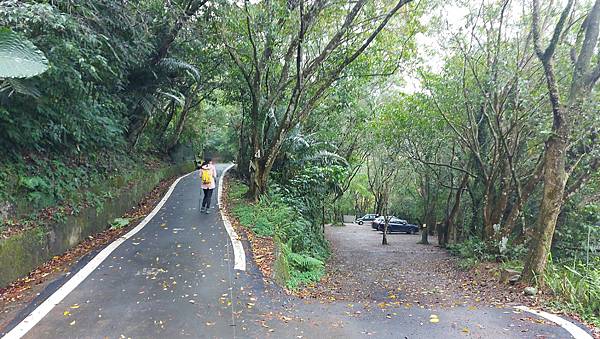 【雲森瀑布】三峽熊空仙境~雲森瀑布，登山、步道、戲水、觀瀑、