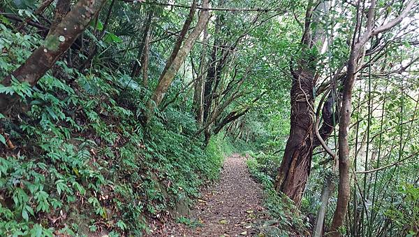 【雲森瀑布】三峽熊空仙境~雲森瀑布，登山、步道、戲水、觀瀑、