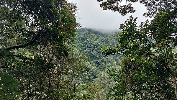 【雲森瀑布】三峽熊空仙境~雲森瀑布，登山、步道、戲水、觀瀑、