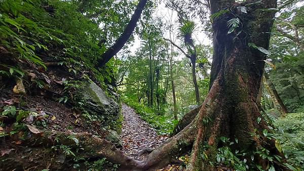 【雲森瀑布】三峽熊空仙境~雲森瀑布，登山、步道、戲水、觀瀑、