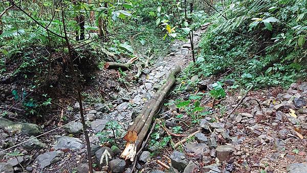 【雲森瀑布】三峽熊空仙境~雲森瀑布，登山、步道、戲水、觀瀑、