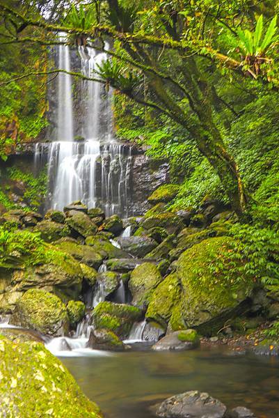 【雲森瀑布】三峽熊空仙境~雲森瀑布，登山、步道、戲水、觀瀑、